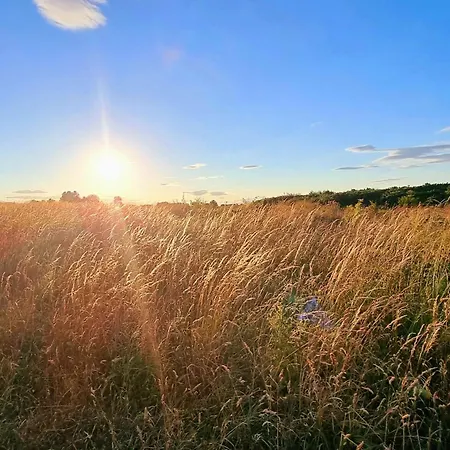 Merchants Quarters - Laguz Scarborough