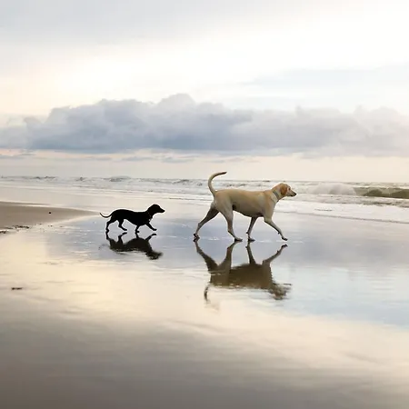 度假居 Merchants Quarters - Laguz - Stunning Apartment With Harbour And Sea Views - Free Roof Top Terrace With Sea And Harbour View And Central Location To Beaches Amenities Restaurants And Harbour 斯卡伯勒