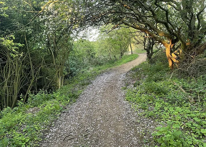 Merchants Quarters - Laguz - Stunning With Harbour And Sea Views - Free Roof Terrace With Sea And Harbour View And Location To Beaches Amenities Restaurants And Harbour Dom wakacyjny