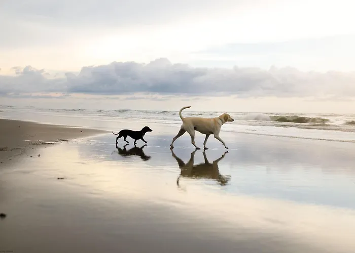 Dom wakacyjny Merchants Quarters - Laguz - Stunning With Harbour And Sea Views - Free Roof Terrace With Sea And Harbour View And Location To Beaches Amenities Restaurants And Harbour Scarborough